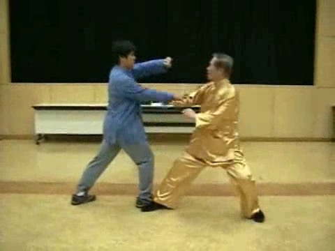 Wahnam Taijiquan