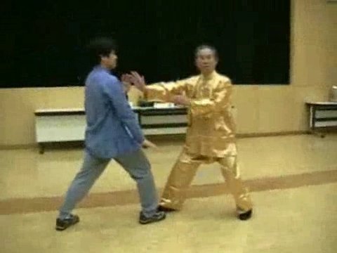 Wahnam Taijiquan