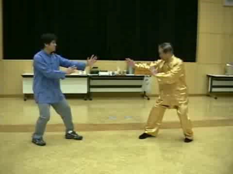 Wahnam Taijiquan