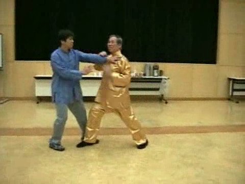 Wahnam Taijiquan