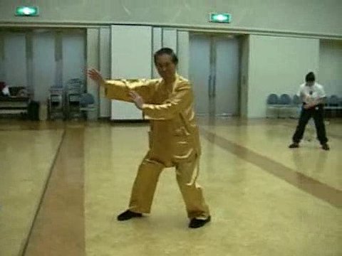 Wahnam Taijiquan