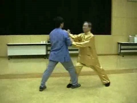 Wahnam Taijiquan