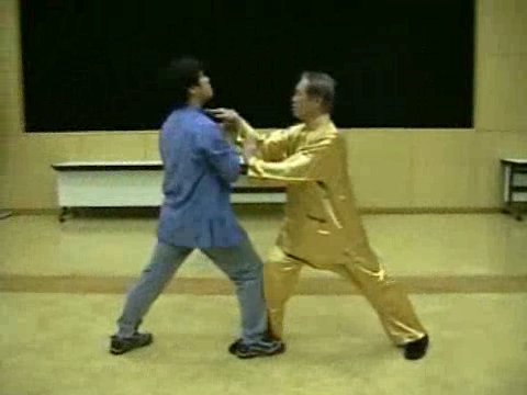 Wahnam Taijiquan