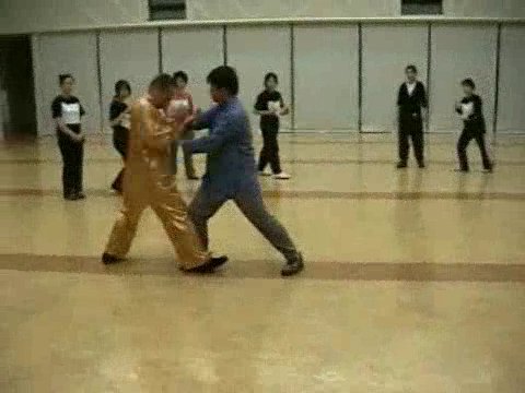 Wahnam Taijiquan