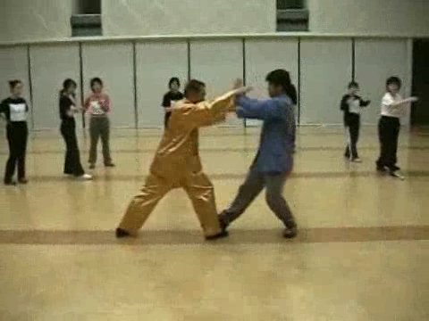 Wahnam Taijiquan