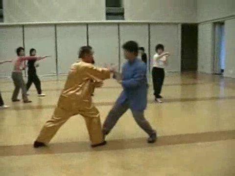 Wahnam Taijiquan