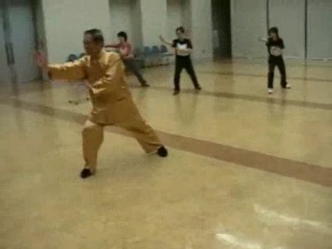 Wahnam Taijiquan