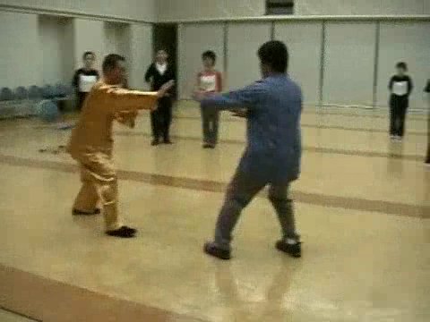 Wahnam Taijiquan