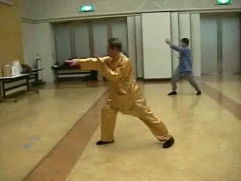 Wahnam Taijiquan