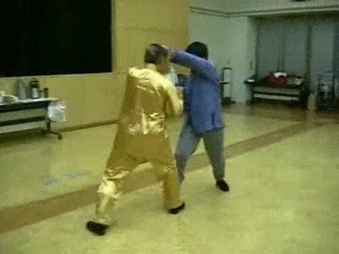 Wahnam Taijiquan