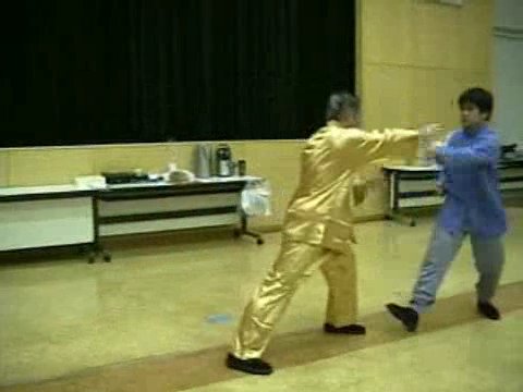 Wahnam Taijiquan