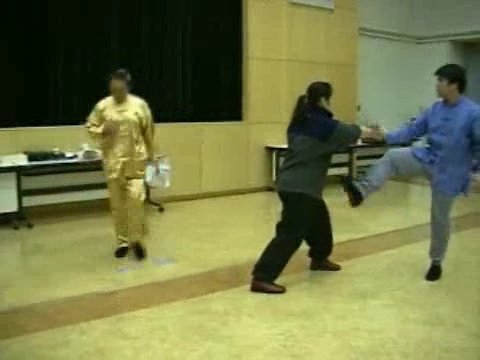 Wahnam Taijiquan