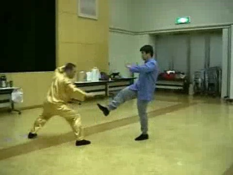 Wahnam Taijiquan