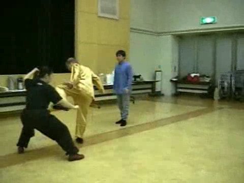 Wahnam Taijiquan