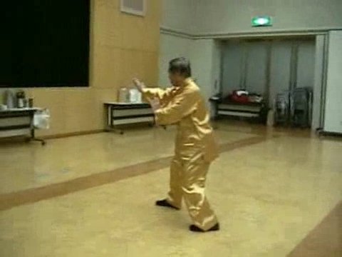 Wahnam Taijiquan