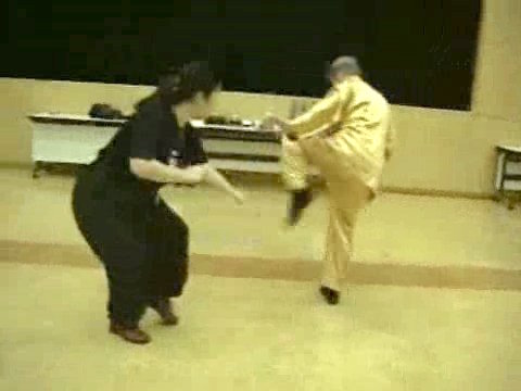 Wahnam Taijiquan