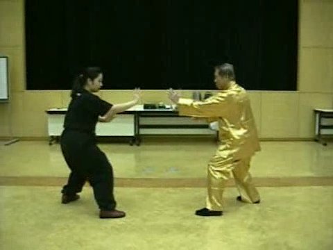 Wahnam Taijiquan