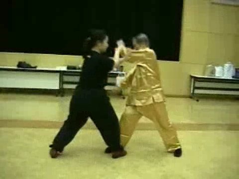 Wahnam Taijiquan