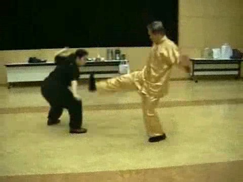 Wahnam Taijiquan