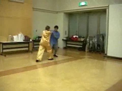 Wahnam Taijiquan