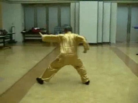 Wahnam Taijiquan