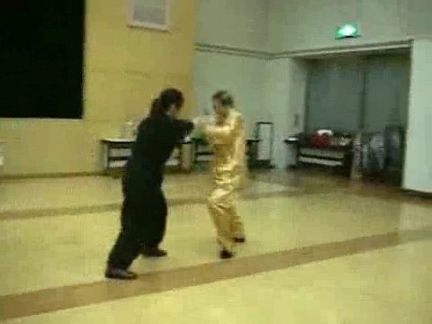 Wahnam Taijiquan