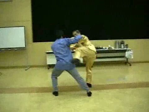 Wahnam Taijiquan