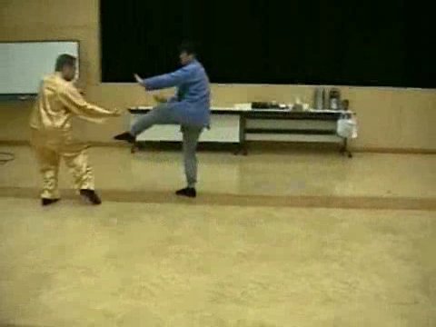 Wahnam Taijiquan