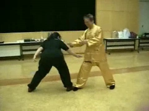 Wahnam Taijiquan