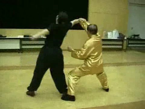 Wahnam Taijiquan