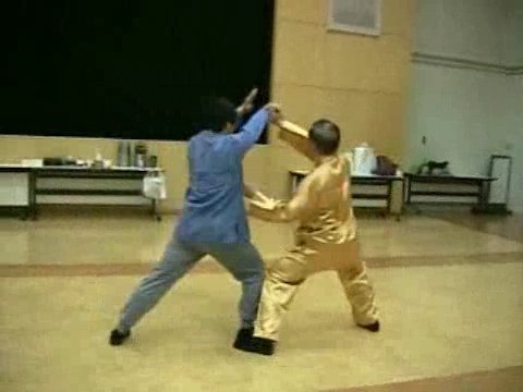 Wahnam Taijiquan