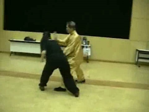 Wahnam Taijiquan