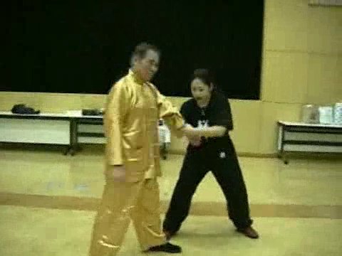 Wahnam Taijiquan