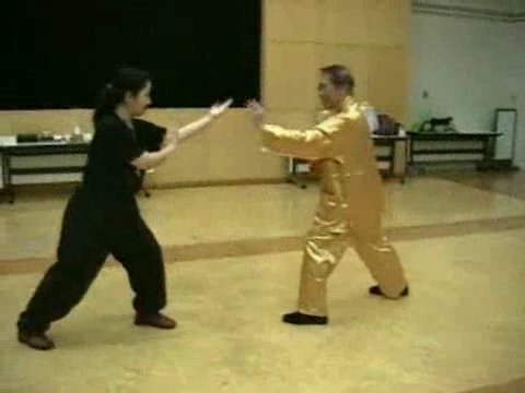 Wahnam Taijiquan