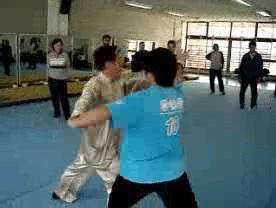 Shaolin Kung Fu Combat Application