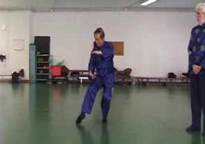 Wahnam Taijiquan