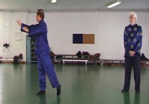 Wahnam Taijiquan