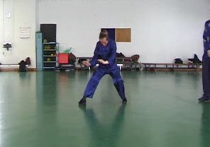 Wahnam Taijiquan