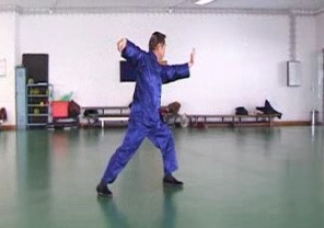 Wahnam Taijiquan