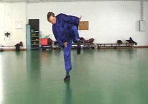 Wahnam Taijiquan