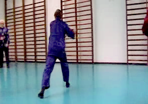 Wahnam Taijiquan