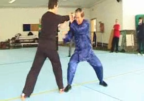 Wahnam Taijiquan