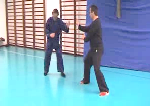 Wahnam Taijiquan