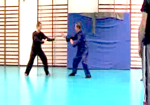 Wahnam Taijiquan