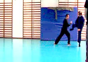 Wahnam Taijiquan