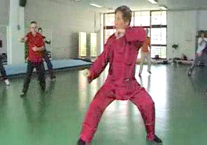 Wahnam Taijiquan