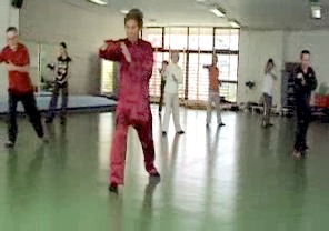 Wahnam Taijiquan