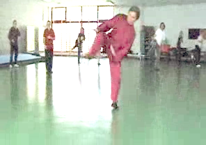 Wahnam Taijiquan