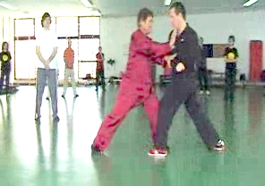 Wahnam Taijiquan