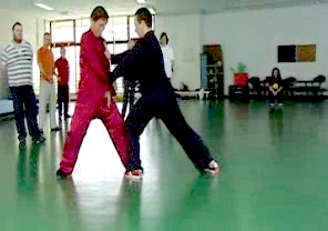 Wahnam Taijiquan